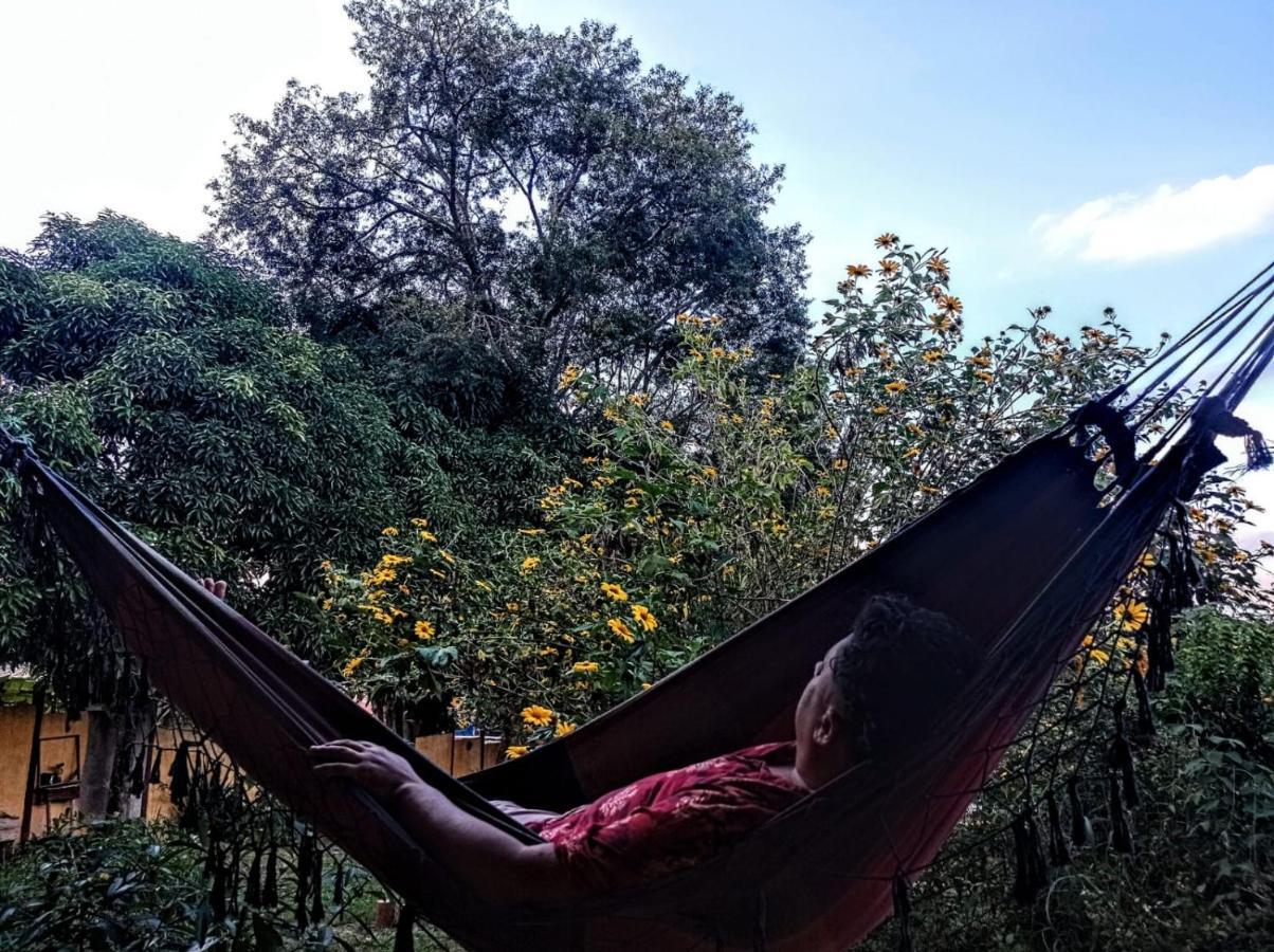 Homestay Casa Nomade *