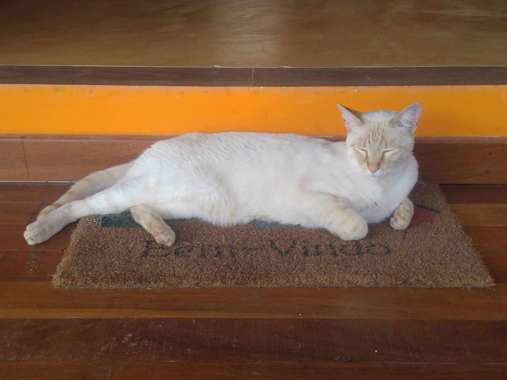 Homestay Casa Nomade