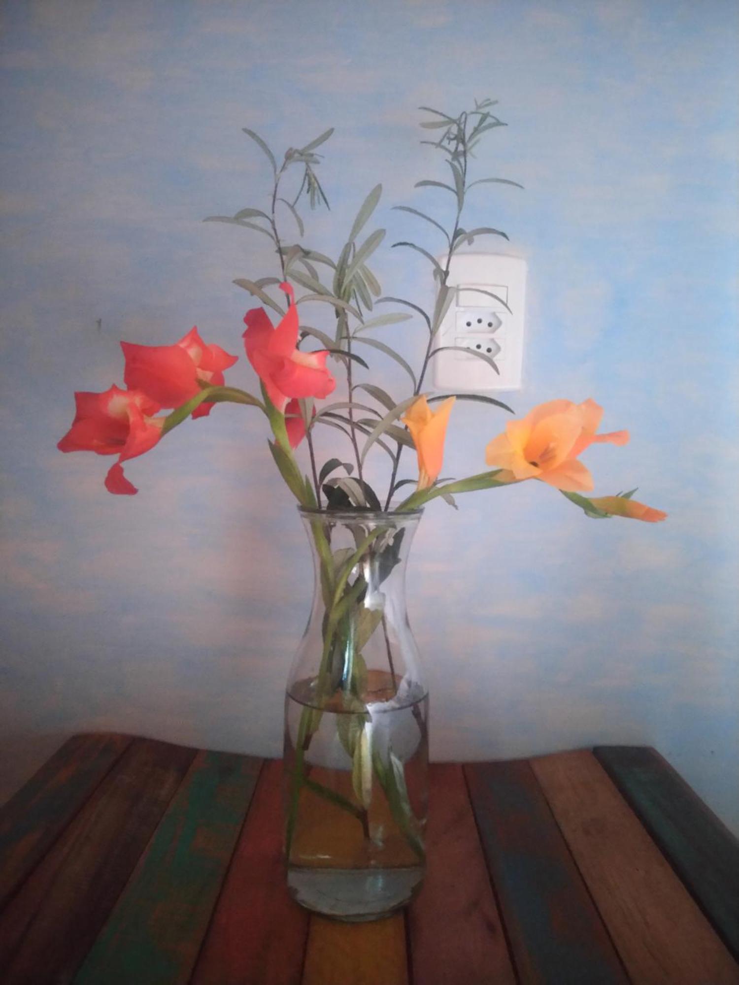 Casa Nomade Homestay Alto Paraiso de Goias